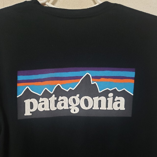 patagonia(パタゴニア)のpatagonia　ロンT P-6ロゴ size/M メンズのトップス(Tシャツ/カットソー(七分/長袖))の商品写真