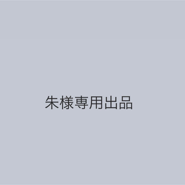 超安い】 朱様専用出品 その他 - rinsa.ca