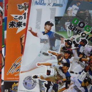 ホッカイドウニホンハムファイターズ(北海道日本ハムファイターズ)の日本ハムファイターズクリアファイル１２枚(スポーツ選手)