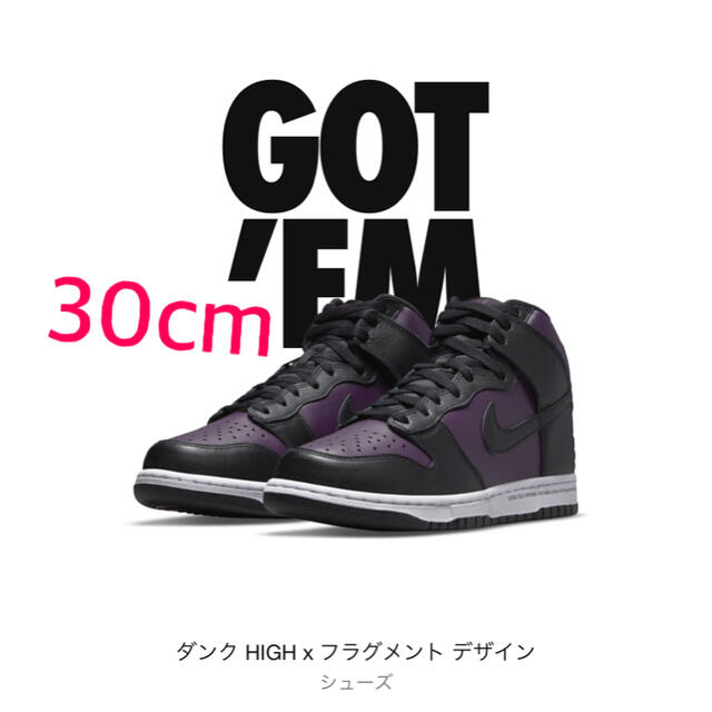 DUNKNIKE ダンクハイ　フラグメント　30cm