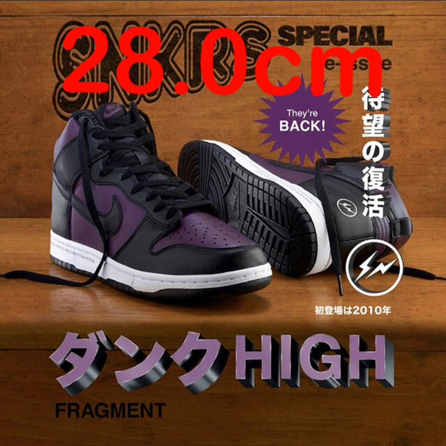 NIKE SB Fragment design Dunk Hi 28cmフラグメント