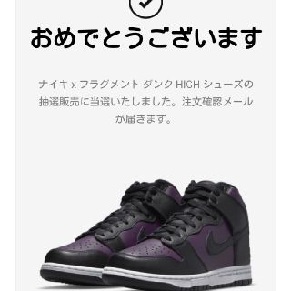 ナイキ(NIKE)のNIKE ナイキ DUNK ダンク FRAGMENT フラグメント 28.5cm(スニーカー)