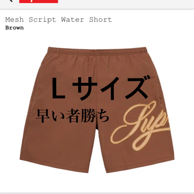 supreme Mesh Script Water short水着