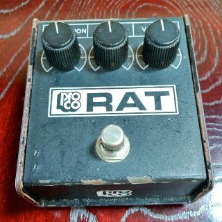 Pro Co White Face RAT Reissue