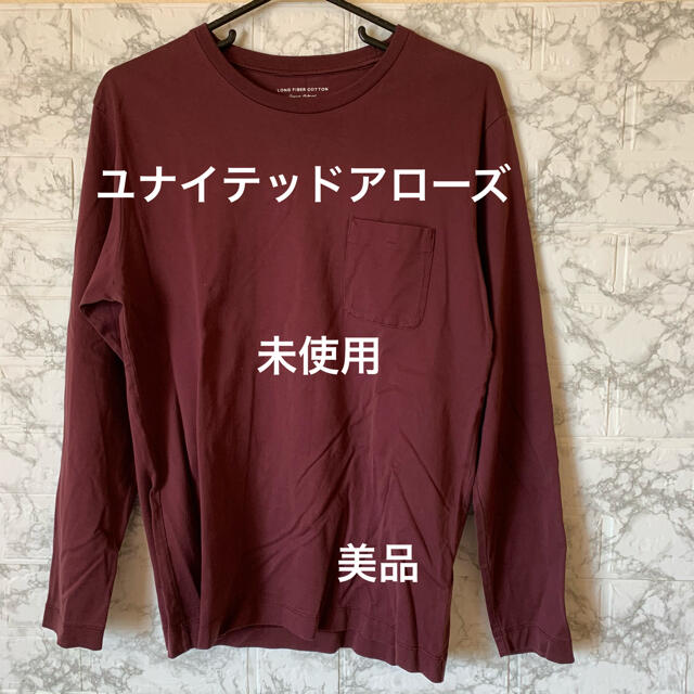 UNITED ARROWS(ユナイテッドアローズ)の☆ユナイテッドアローズ LサイズロングTシャツ メンズ パープル メンズのトップス(Tシャツ/カットソー(七分/長袖))の商品写真