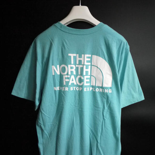 THE NORTH FACE(ザノースフェイス)の新品 THE NORTH FACE ノースフェイス【L】日本未発売  メンズのトップス(Tシャツ/カットソー(半袖/袖なし))の商品写真