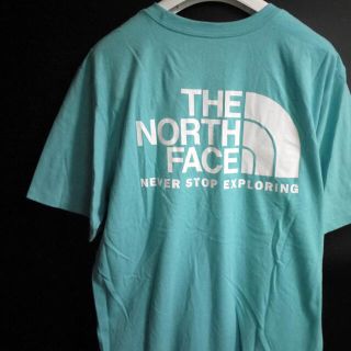 ザノースフェイス(THE NORTH FACE)の新品 THE NORTH FACE ノースフェイス【L】日本未発売 (Tシャツ/カットソー(半袖/袖なし))