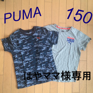 プーマ(PUMA)のPUMA プーマ   Tシャツ　2枚セット　150(Tシャツ/カットソー)