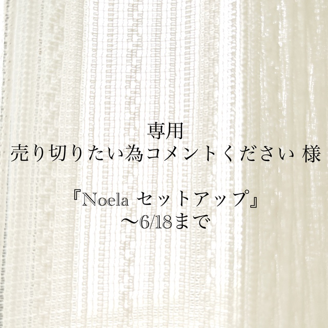 Noela セットアップ