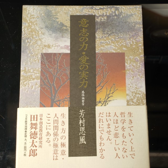 意思の力・愛の実力　感性論哲学