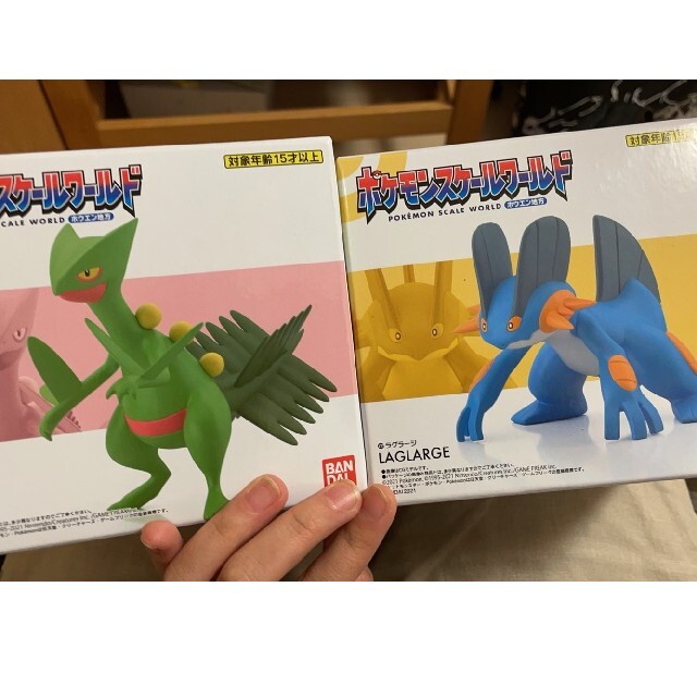 買取 額 ポケモン ポケモンスケールワールド ラグラージ ジュカイン ホウエン地方の 激安卸し売り Blog Autografia Com Br