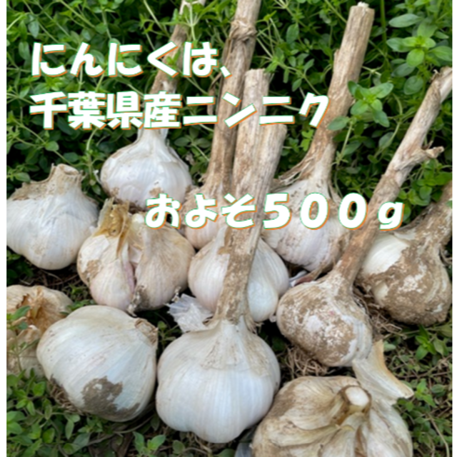 安全・安心野菜　ニンニク＆新ジャガイモ　１，５ｋｇの詰め合わせ 食品/飲料/酒の食品(野菜)の商品写真