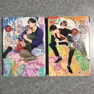 BL 小説　セット(ボーイズラブ(BL))