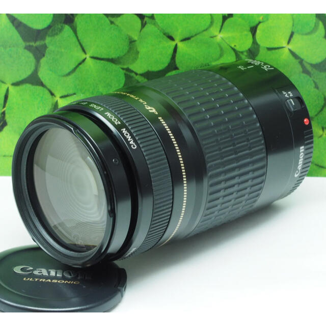 国内発送】 Canon - 【美品】キャノンEF75-300mm超望遠ズーム