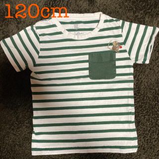 デザインティーシャツストアグラニフ(Design Tshirts Store graniph)のグラニフ　graniph Tシャツ　レオレオニ　フレデリック　　絵本　120cm(Tシャツ/カットソー)