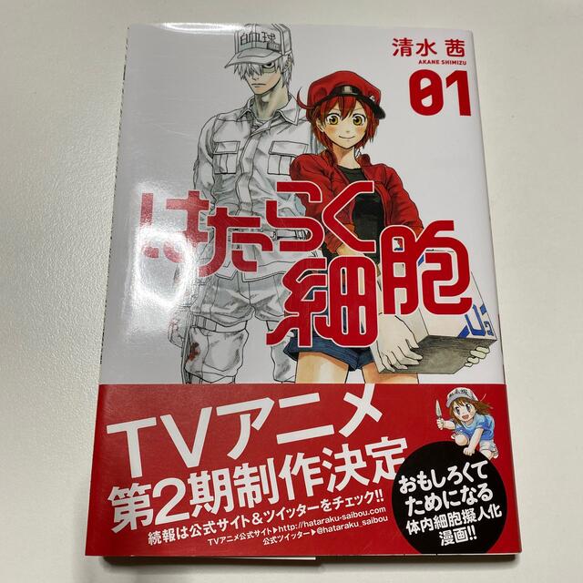 講談社(コウダンシャ)のはたらく細胞 ０１ エンタメ/ホビーの漫画(その他)の商品写真