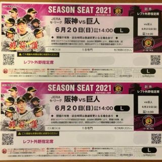 ハンシンタイガース(阪神タイガース)の【プロ野球】６月20日（日）阪神 vs 讀賣 レフト外野指定席 ペアチケット(野球)