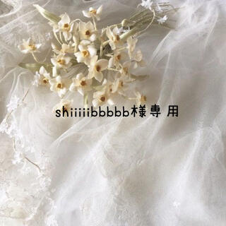 shiiiiibbbbb様専用 コスメ/美容のネイル(つけ爪/ネイルチップ)の商品写真