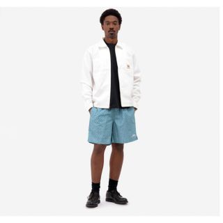 STUSSY - Lサイズ POLKADOT WATER SHORTの通販 by コウタロー's shop ...