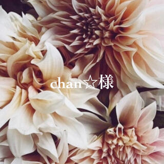 chan☆様専用(ひざ丈ワンピース)