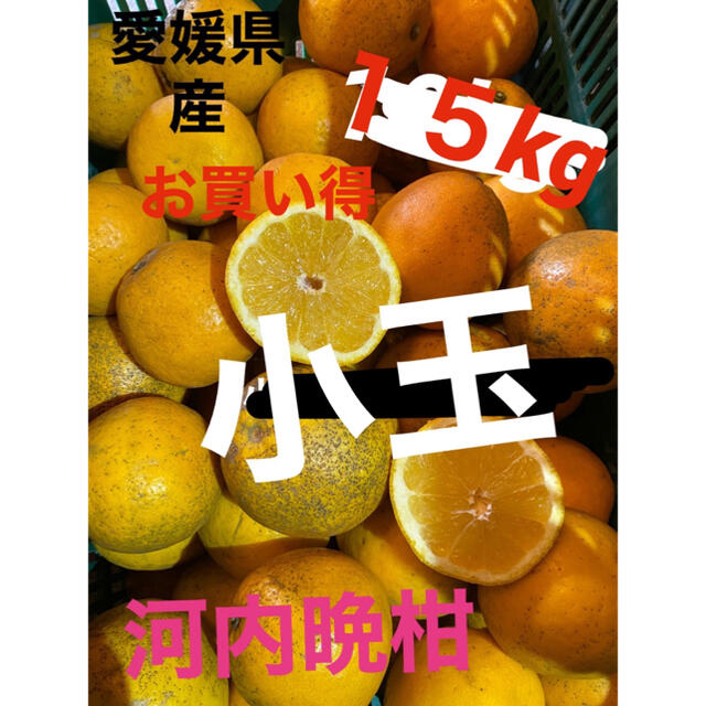 愛媛県産　河内晩柑小玉15キロ 食品/飲料/酒の食品(フルーツ)の商品写真