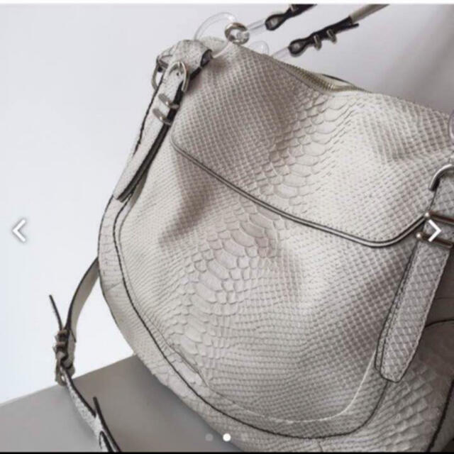 コーチ バック coach パイソン 美品 ホワイト - ショルダーバッグ 美品! COACH(コーチ) マンハッタン パイソン柄バックパック ホワイト