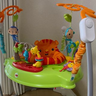 フィッシャープライス(Fisher-Price)のレインフォレスト　ジャンパルー　(その他)