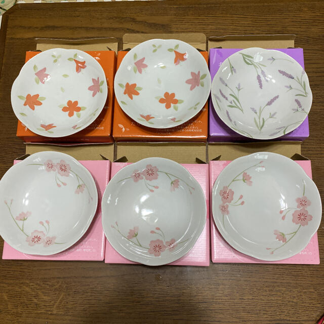 日糧 北海道の花絵皿 6枚 セット インテリア/住まい/日用品のキッチン/食器(食器)の商品写真