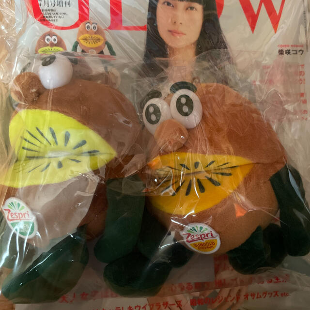 キウイタイムセール😆😆😆👍👍👍🥝4700円から4300円😊 エンタメ/ホビーの雑誌(美容)の商品写真