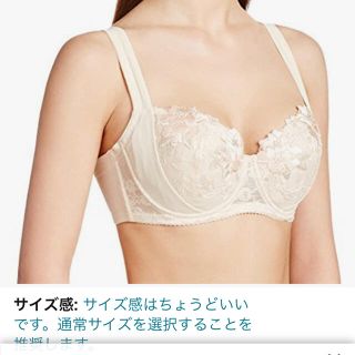 ウィング(Wing)の値下げ！ウィング　ブラジャー　E70 ベージュ(ブラ)