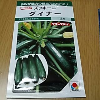 ズッキーニ　種(その他)