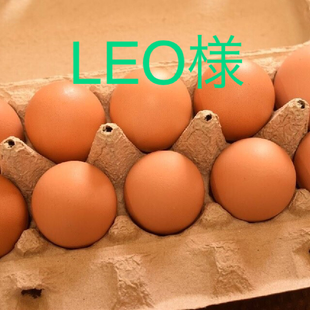 LEO様専用　平飼いたまご50個 食品/飲料/酒の食品(野菜)の商品写真