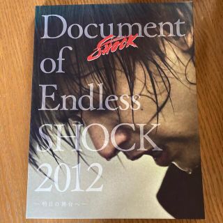 キンキキッズ(KinKi Kids)のDocument of Endless SHOCK 2012(舞台/ミュージカル)