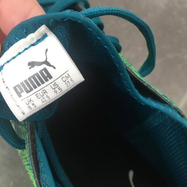 PUMA(プーマ)のPUMA  プーマ　トレーニングシューズ　27.5cm  US9.5 スポーツ/アウトドアのサッカー/フットサル(シューズ)の商品写真