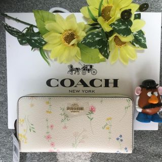 9ページ目 - コーチ(COACH) フラワー 財布(レディース)の通販 700点