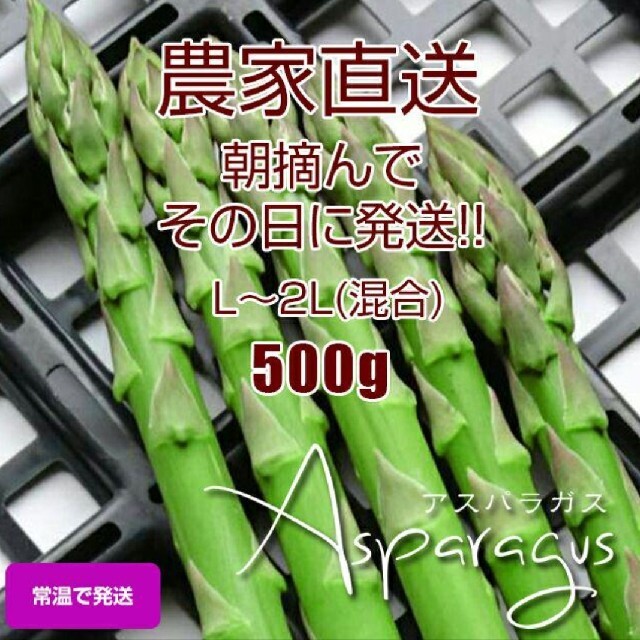 太アスパラ 500g 食品/飲料/酒の食品(野菜)の商品写真