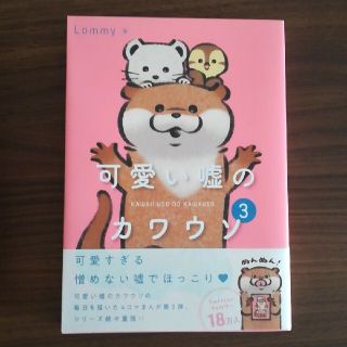 【美品】可愛い嘘のカワウソ ３(文学/小説)