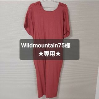 アーバンリサーチ(URBAN RESEARCH)のワンピース　★Wildmountain75様専用★(ロングワンピース/マキシワンピース)