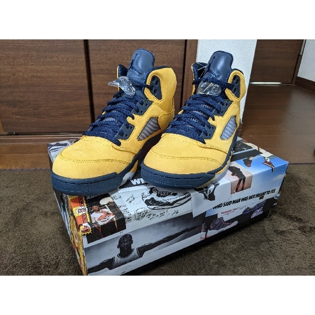 Air Jordan 5 Michigan