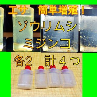 タマミジンコ　ゾウリムシ　セット(アクアリウム)