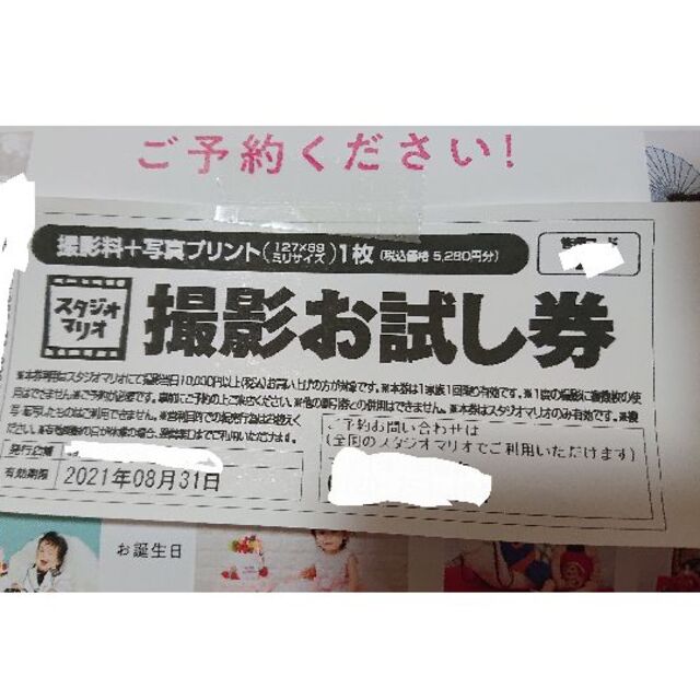 Kitamura(キタムラ)のスタジオマリオ無料お試し券(税込価格 5,280円分) チケットの優待券/割引券(その他)の商品写真