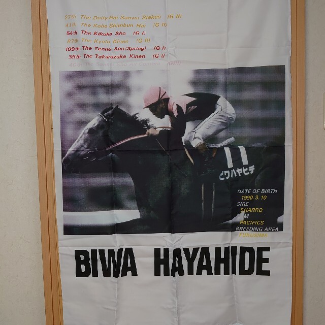 (限定) BIWA HAYAHIDE ビワ ハヤヒデ