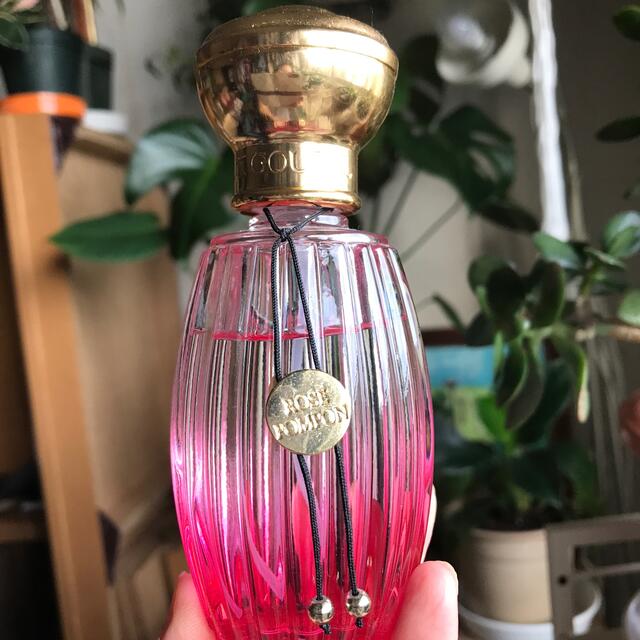 Annick Goutal(アニックグタール)のANNICK GOUTAL ROSE PONPON 100 ml コスメ/美容の香水(香水(女性用))の商品写真