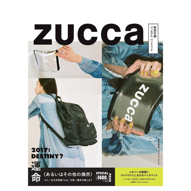 ZUCCa(ズッカ)の【新品未使用】ズッカ ZUCCa パッカブルバックパック メンズのバッグ(バッグパック/リュック)の商品写真