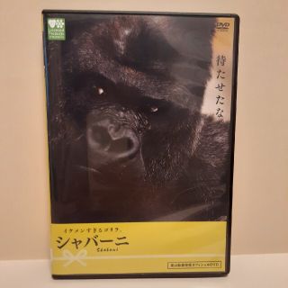 【pomeさま専用】イケメンすぎるゴリラ。　シャバーニ DVD(舞台/ミュージカル)