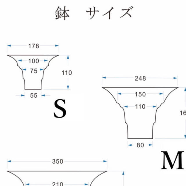 M&M MASSES 鉢　木村拓哉　S.S.Mセット