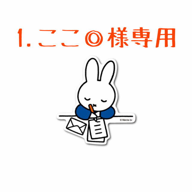 1.ここ◎様専用❣️ 第3回🎉韓国多肉植物販売会❣️ ハンドメイドのフラワー/ガーデン(その他)の商品写真