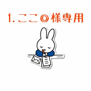 1.ここ◎様専用❣️ 第3回🎉韓国多肉植物販売会❣️(その他)