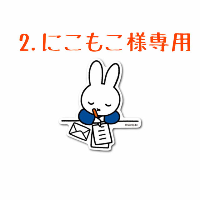 2.にこもこ様専用❣️ 第3回🎉韓国多肉植物販売会❣️ ハンドメイドのフラワー/ガーデン(その他)の商品写真