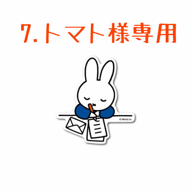 7.トマト様専用❣️ 第3回🎉韓国多肉植物販売会❣️ ハンドメイドのフラワー/ガーデン(その他)の商品写真